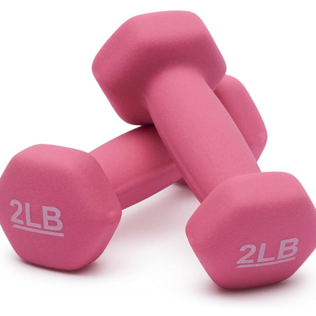 Amazon Basics Neoprene 2lb Dumbbell Hand Weights
