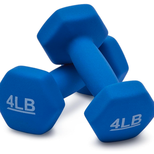 Amazon Basics Neoprene 4lb Dumbbell Hand Weights